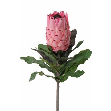 Kunstblume Protea NELLI, rosa, 75cm, Ø8cm