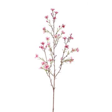 Künstliche Wachsblume NIANG, rosa-pink, 80cm, Ø2-3cm
