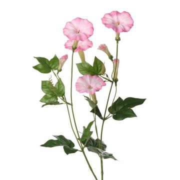 Künstliche Trichterwinde NABILA, rosa, 70cm, Ø6cm