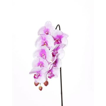 Künstlicher Phalaenopsis Orchideen Zweig ENISA, rosa-weiß, 45cm