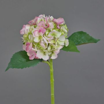 Kunstblume Hortensie NICKY, rosa-grün, 50cm, Ø15cm
