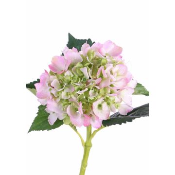 Kunstblume Hortensie NICKY, rosa-grün, 50cm, Ø15cm