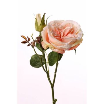 Textil Kohl-Rose JUDY, lachs, 35cm, Ø8cm