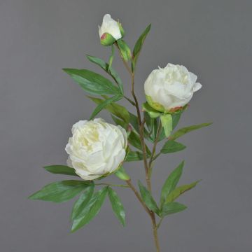 Pfingstrosen Zweig künstlich MANJA, weiß, 70cm, Ø8-10cm