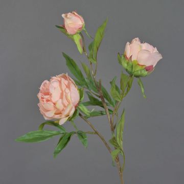 Pfingstrosen Zweig künstlich MANJA, rosa, 70cm, Ø8-10cm
