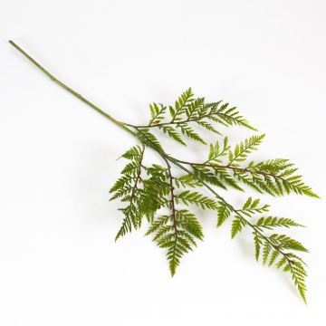 Kunststoff Schildfarn Zweig RONY, grün, 60cm