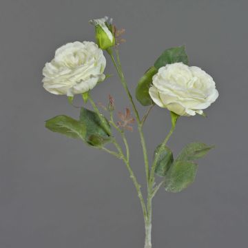 Kunstzweig Kohl-Rose MADITA, beschneit, creme, 60cm, Ø9cm