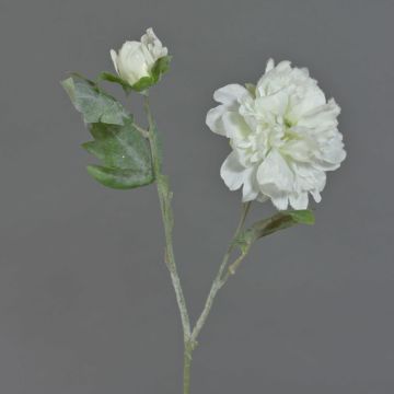 Unechter Zweig Pfingstrose MALINE, beschneit, weiß, 60cm, Ø13cm