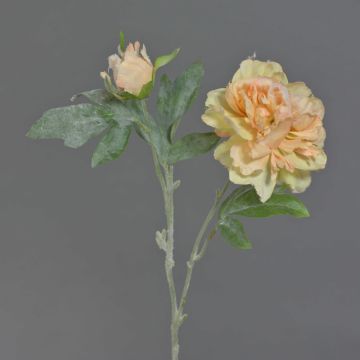 Unechter Zweig Pfingstrose MALINE, beschneit, lachs-gelb, 60cm, Ø13cm