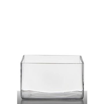 Glastopf für Pflanzen MIRJA, transparent, 25x10x15cm