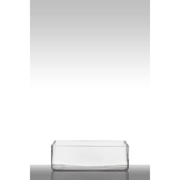 Schale für Pflanzen aus Glas MIRJA, transparent, 30x20x10cm