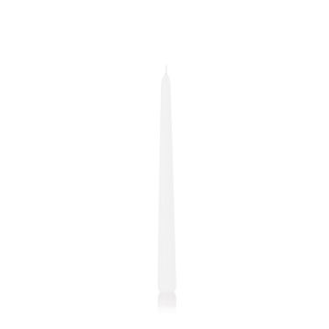 Kerze für Leuchter PALINA, weiß, 30cm, Ø2,5cm, 13h - Made in Germany