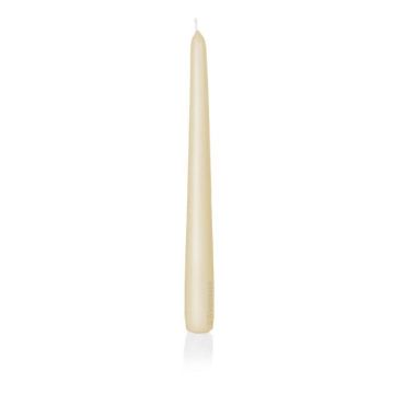Kerze für Leuchter PALINA, creme, 25cm, Ø2,5cm, 8h - Made in Germany