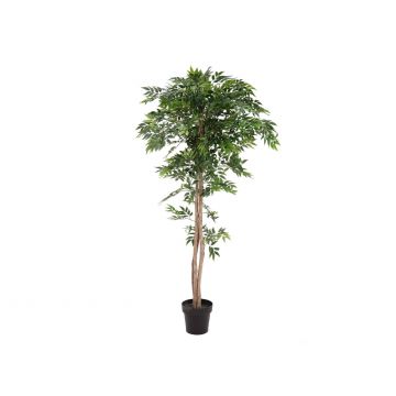Kunstbaum Longifolia CAYA, Kunststamm, 165cm