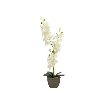Kunst Orchidee Phalaenopsis KATALIN, Dekotopf, creme, 80cm