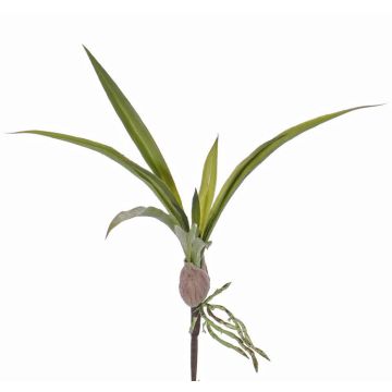 Kunstblätter Oncidium Orchidee HENNES, Luftwurzeln, 25x40cm