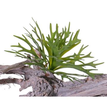 Geweihfarn künstlich TENUK auf Steckstab, grün, 20cm, Ø30cm
