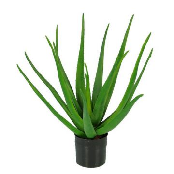 Künstliche Aloe Vera LAURENA, grün, 55cm, Ø45cm