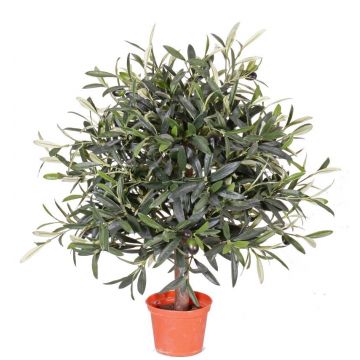 Künstlicher Olivenbaum WYNONA, Naturstamm, Früchte, 50cm