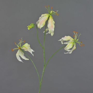 Künstliche Gloriosa TIANA, creme-grün-rosa, 85cm, Ø9-10cm