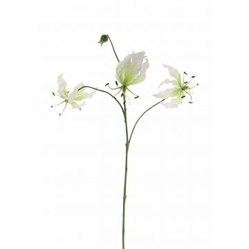 Kunst Gloriosa TIANA, weiß-grün, 80cm, Ø8-15cm