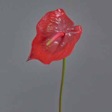 Flamingoblume künstlich MOIRA, rot, 75cm, 13x18cm