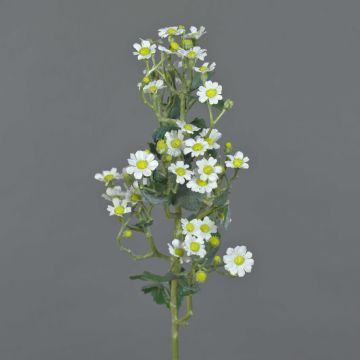 Künstliches Mutterkraut FEMKE, weiß, 60cm, Ø1,5-2cm