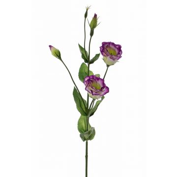 Künstliche Lisianthus JUDIKA, violett-grün, 70cm, Ø5cm