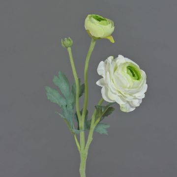 Ranunkel Zweig künstlich YAKIRA, weiß-grün, 40cm, Ø4,5-9cm