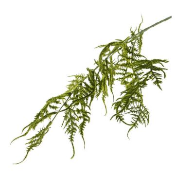 Kunst Asparagus plumosus Zweig CHRISTIAN, grün, 85cm