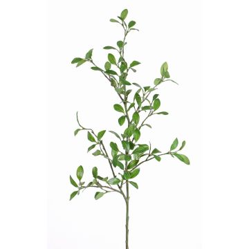 Künstlicher Liguster Zweig MENZEL, grün, 105cm