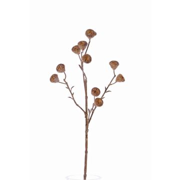 Kunst Eukalyptus Zweig BASILIUS mit Früchten, hellbraun, 60cm
