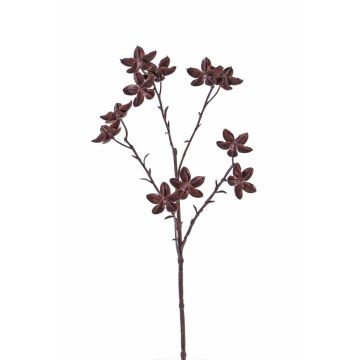 Kunststoff Sternanis Zweig DELANO mit Früchten, braun, 60cm
