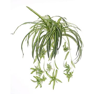 Kunst Grünlilie TASMIN auf Steckstab, grün-weiß, 70cm