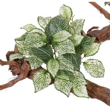 Kunst Mosaikpflanze MOLARA auf Steckstab, grün-weiß, 25cm