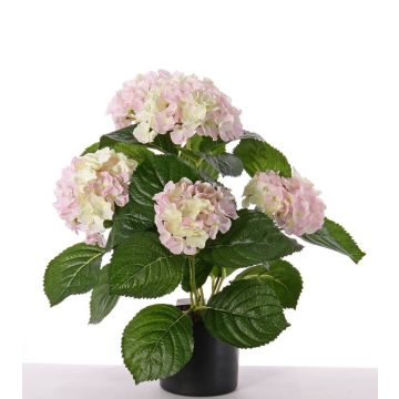 Kunstblume Hortensie TEMARI, weiß-rosa, 35cm, Ø10-12cm