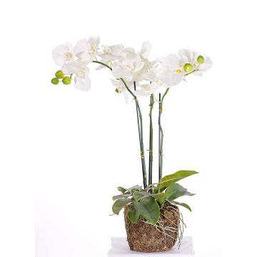 Kunst Phalaenopsis Orchidee MARGIT im Erdball, weiß, 65cm