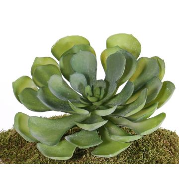 Künstliche Aeonium BARBARA auf Steckstab, grün, 15cm, Ø25cm