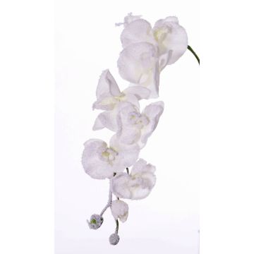 Textilzweig Phalaenopsis Orchidee MYRIA, beschneit, weiß, 75cm