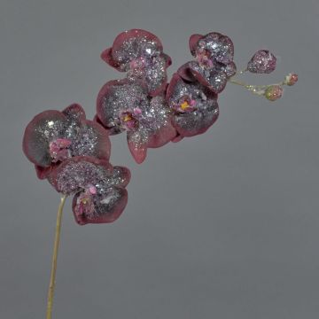 Kunst Phalaenopsis Orchidee NEILA, gefroren, burgunderrot, 70cm, Ø6-10cm