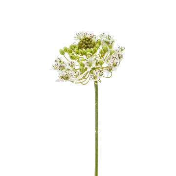 Kunstblume Milchstern SANTAFE, weiß, 60cm, Ø12cm