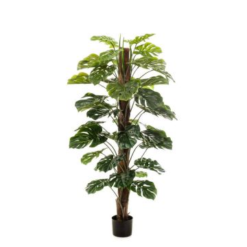 Künstliche Philodendron Monstera Deliciosa TILA, 150cm