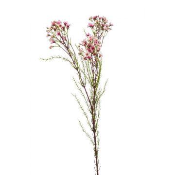 Künstliche Wachsblume MEDEA, rosa, 80cm, Ø6cm