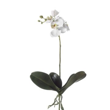 Künstliche Phalaenopsis Orchidee FAO auf Steckstab, weiß, 45cm