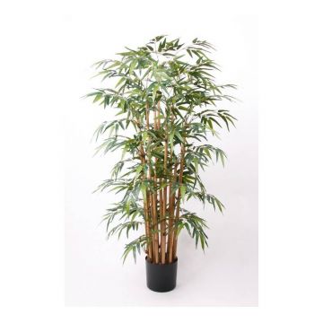 Künstlicher Bambus HIKITO, Echtstämme, 145cm