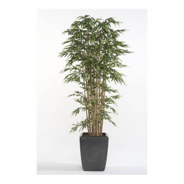 Künstlicher Bambus HIKITO, Echtstämme, 175cm