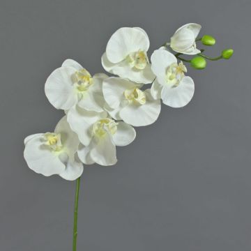 Künstlicher Phalaenopsis Orchideenzweig BASTET, weiß, 75cm, Ø9-11cm