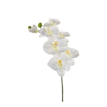 Plastik Phalaenopsis Orchideen Zweig BASTET, weiß, 80cm
