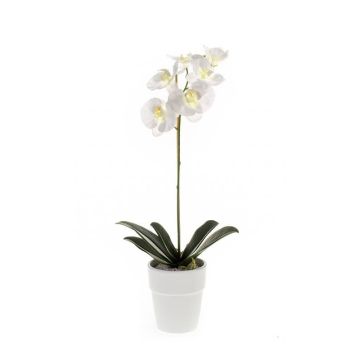 Kunst Phalaenopsis Orchidee ISIS, Keramiktopf, weiß, 55cm