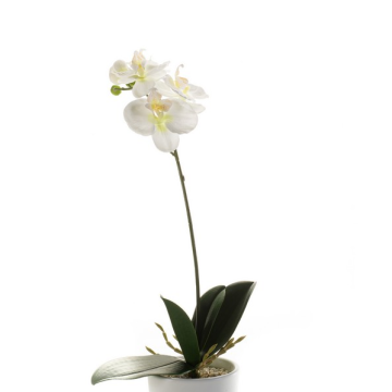 Kunst Phalaenopsis Orchidee ISIS, Steckstab, weiß, 40cm